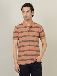 Tan Blue Striped Polo T-Shirt