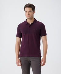 Birds Eye Engineered Stripe Polo