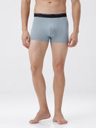 Light gray boxer briefs with black waistband on a white background