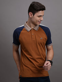 Brown Colourblocked Polo T-Shirt