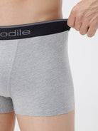 Gray boxer briefs with a black waistband featuring the brand name on a white background.