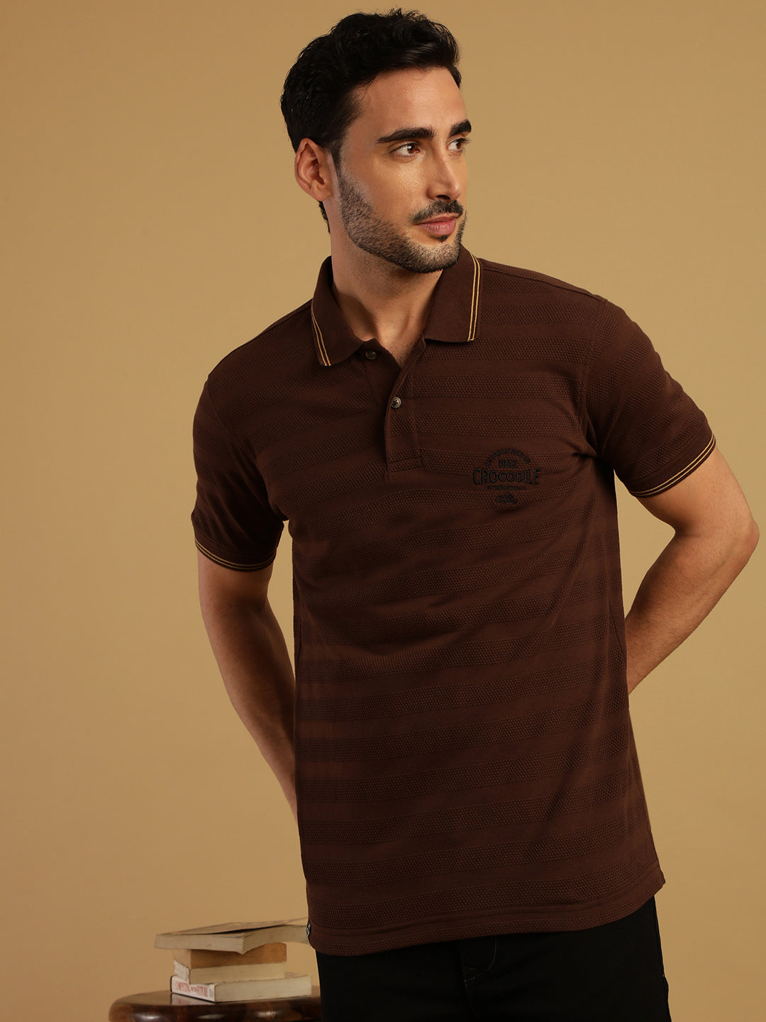 Honey Comb Textured Stripe Polo T-Shirt