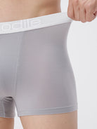 Gray boxer briefs with white waistband featuring the brand name on a plain background