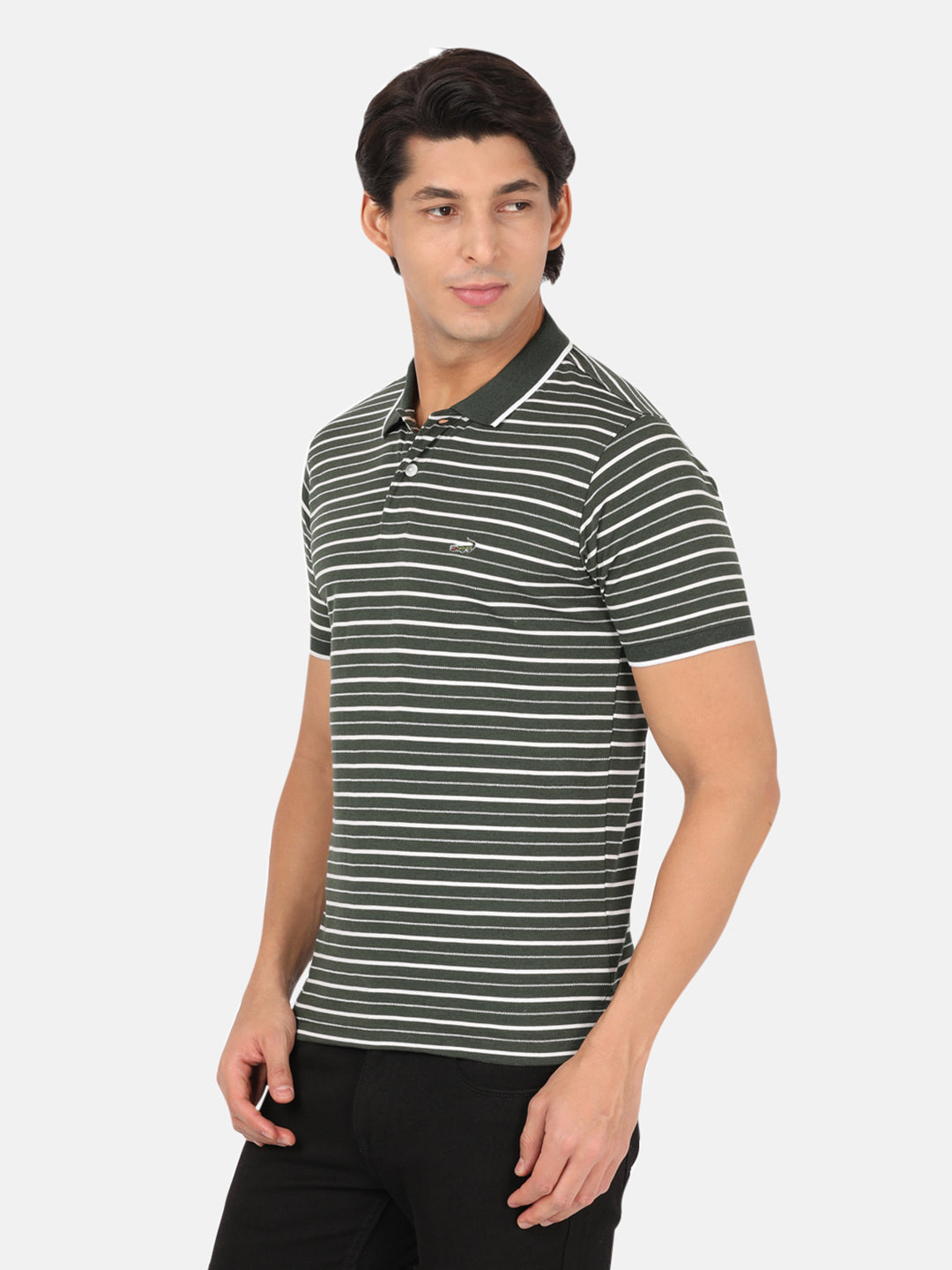 Men Olive Green & White Striped Polo Collar Slim Fit Cotton T-shirt